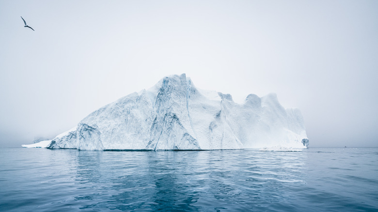 Iceberg in the water